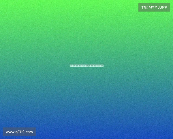 高效装备整理技巧与方法揭秘 让你的物品归类更有序